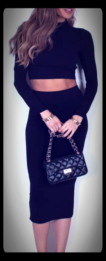 2 pc. Hight Waisted skirt and cropped top